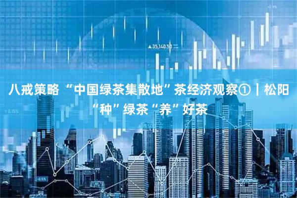 八戒策略 “中国绿茶集散地”茶经济观察①|松阳“种”绿茶“养”好茶