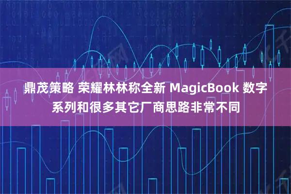 鼎茂策略 荣耀林林称全新 MagicBook 数字系列和很多其它厂商思路非常不同