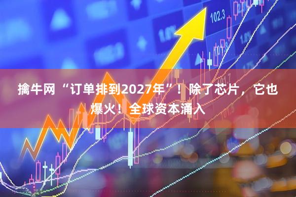 擒牛网 “订单排到2027年”！除了芯片，它也爆火！全球资本涌入