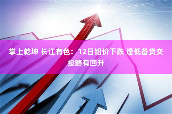 掌上乾坤 长江有色：12日铅价下跌 逢低备货交投略有回升