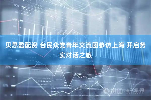 贝思盈配资 台民众党青年交流团参访上海 开启务实对话之旅
